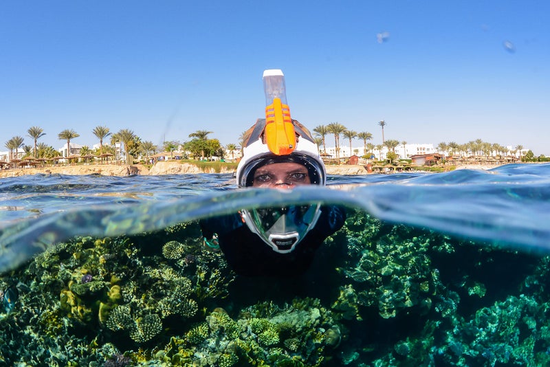 OCEANREEF OCEAN REEF - Aria QR+ Quick Release Full Face Snorkel Mask with Snorkel - 180 Degree Underwater View and Quick Release System (M/L, White). - Image 3